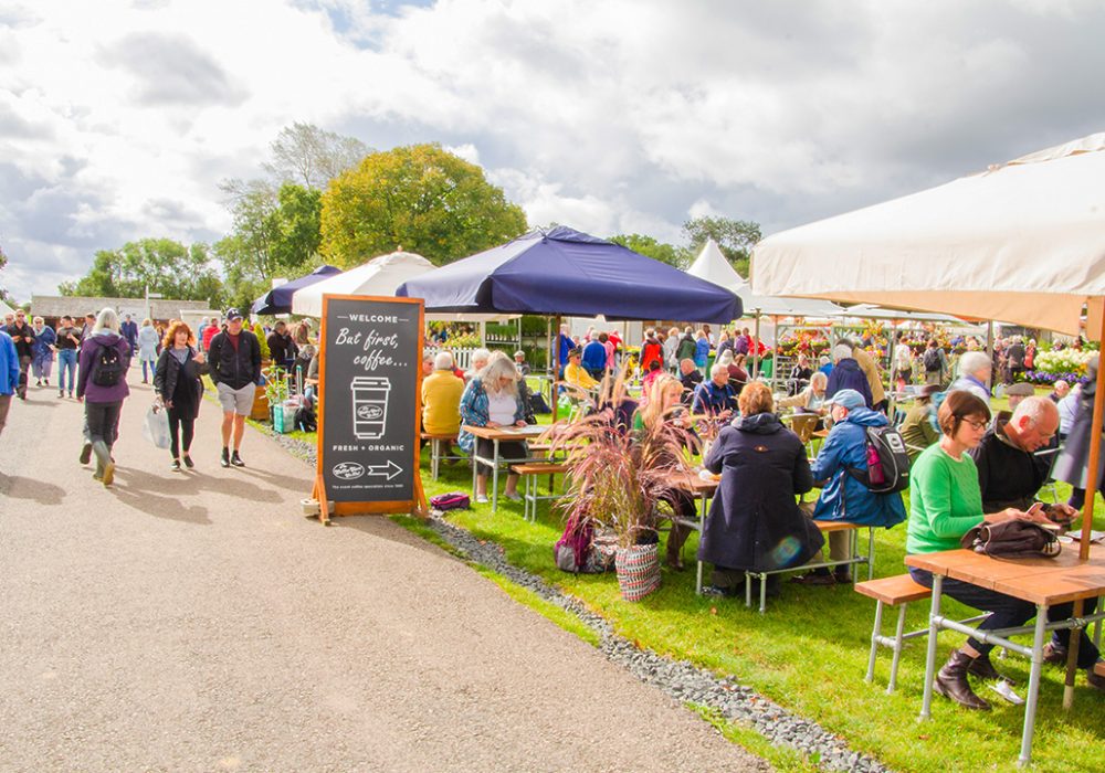 Coffee area in field