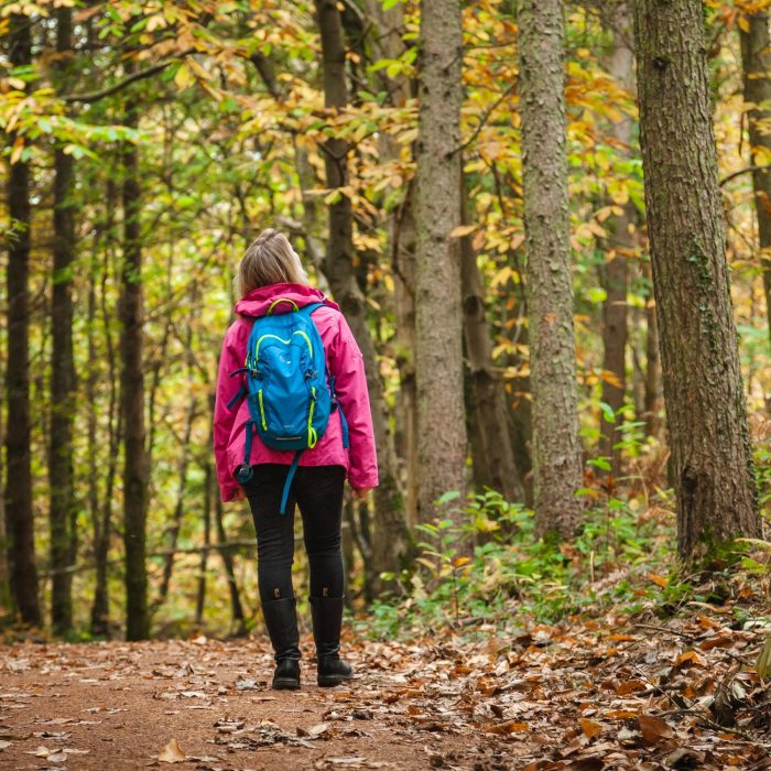 A person wearing a pink jacket and carrying a blue backpack is walking along a leaf-strewn path through a dense forest. The trees are tall with green and yellow leaves, indicating early autumn. The person, seen from behind, appears to be hiking in a peaceful, natural setting, surrounded by trees and scattered foliage on the ground.