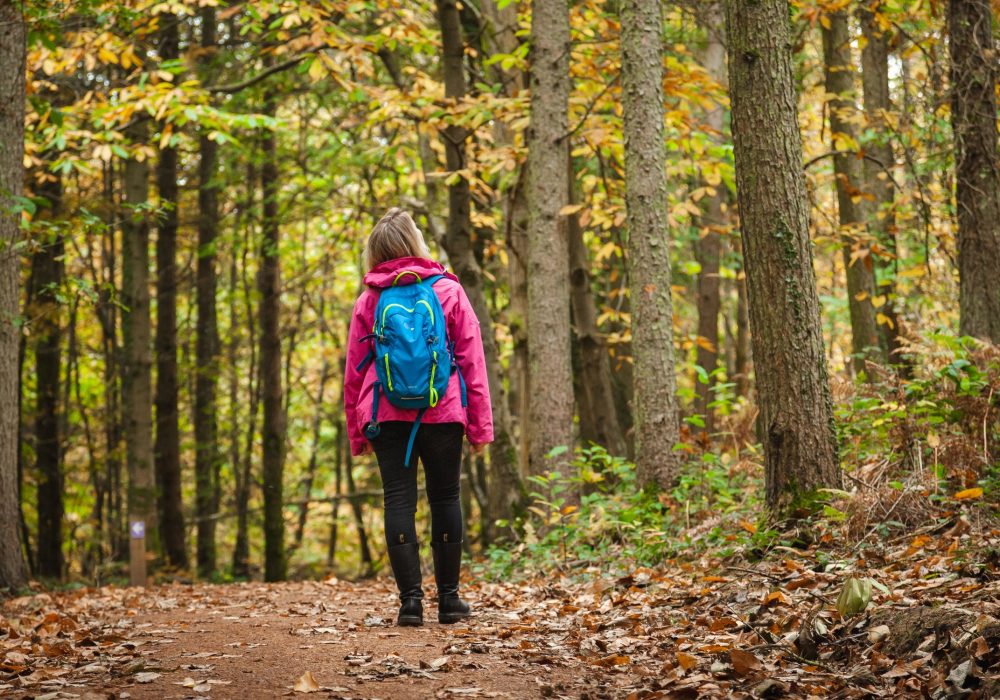 A person wearing a pink jacket and carrying a blue backpack is walking along a leaf-strewn path through a dense forest. The trees are tall with green and yellow leaves, indicating early autumn. The person, seen from behind, appears to be hiking in a peaceful, natural setting, surrounded by trees and scattered foliage on the ground.